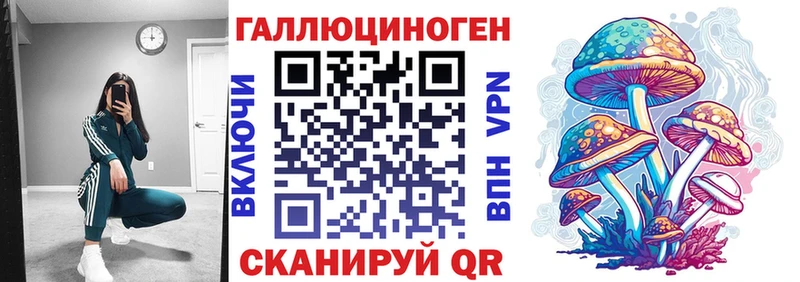 Галлюциногенные грибы Psilocybe  купить   Электрогорск 