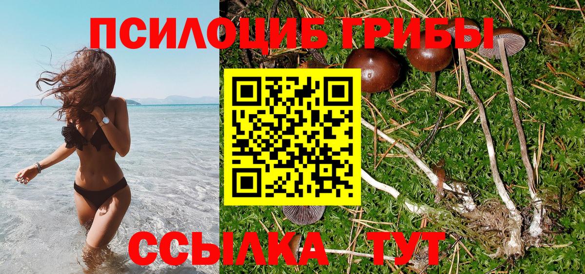 Электрогорск  Галлюциногенные грибы Magic Shrooms  Галлюциногенные грибы мицелий  Вход с VPN 